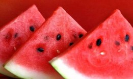 彩虹吃瓜的其他网红叫什么,盘点那些与彩虹吃瓜齐名的热门网红